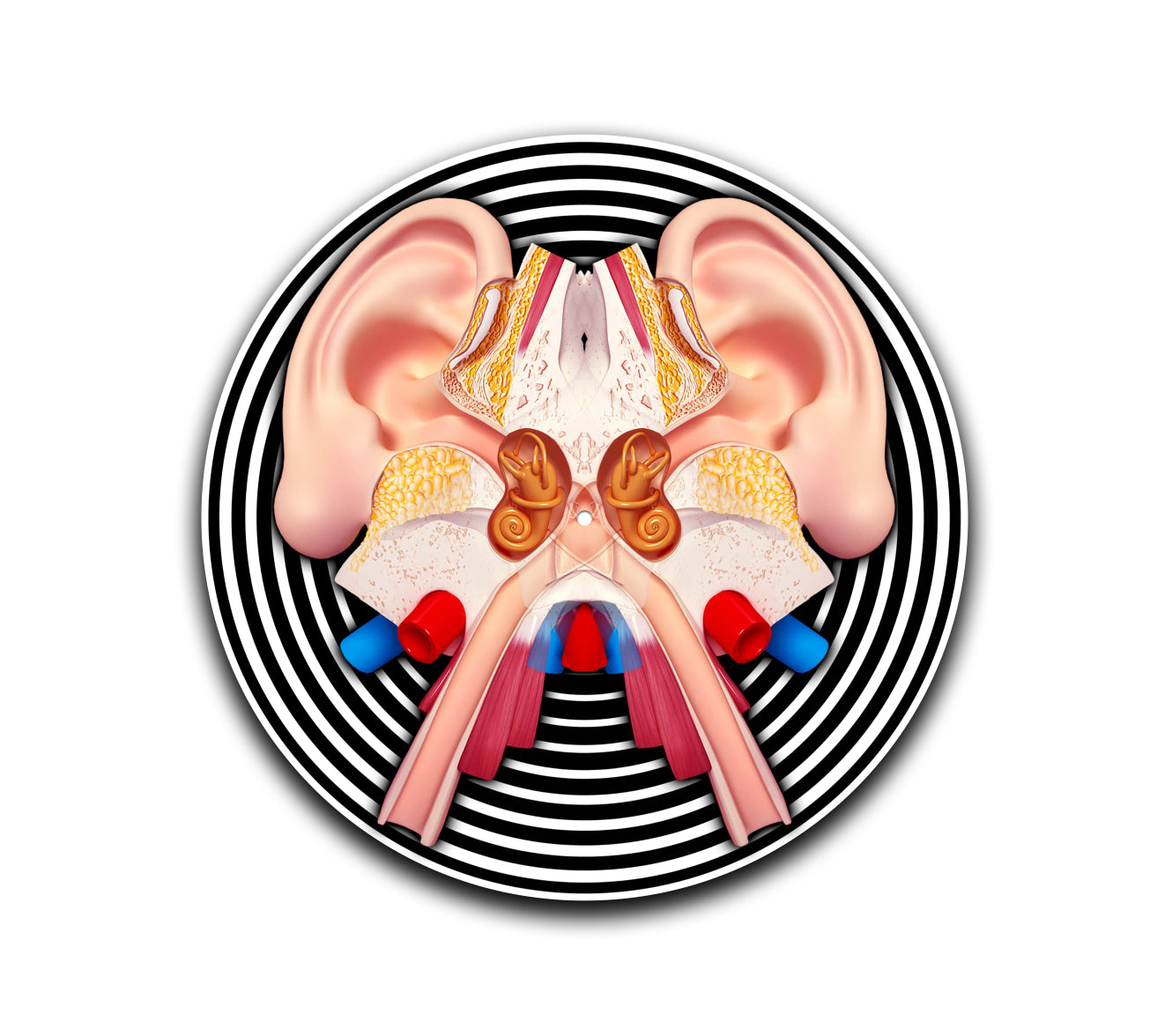 Auditory System Slipmat
