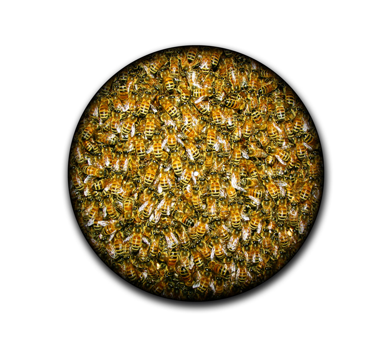 Bees Slipmat