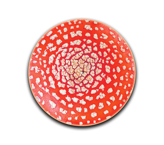 Amanita Slipmat
