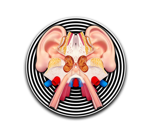 Auditory System Slipmat