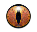 Frog Eye Slipmat