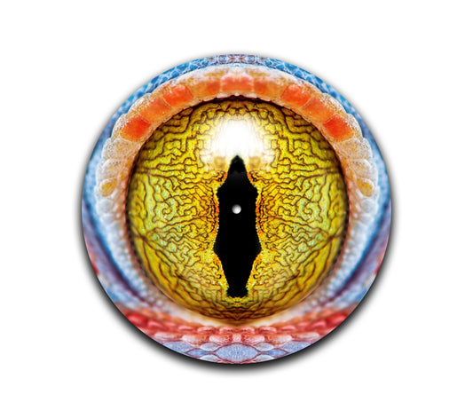 Gecko Eye Slipmat
