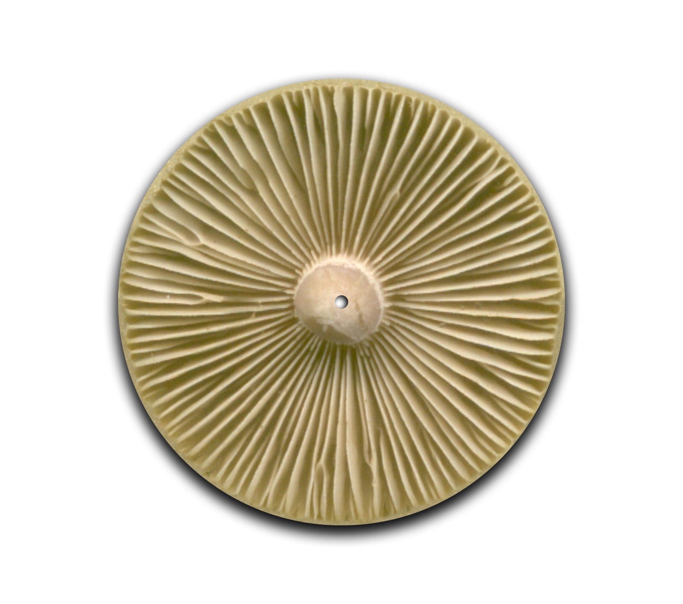 Shroom Slipmat