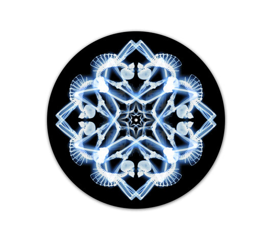 Skeleton Dance Slipmat