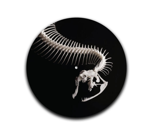 2-sided Snake Skelly Slipmat