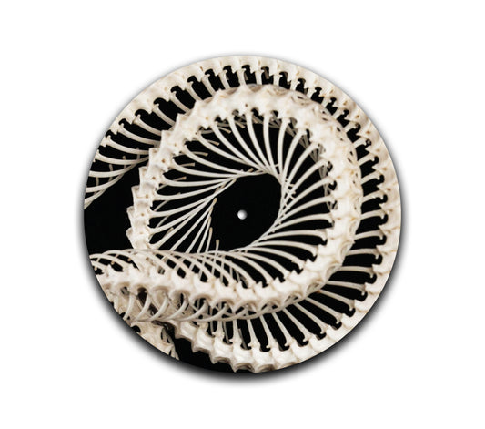 2-sided Snake Skelly Slipmat
