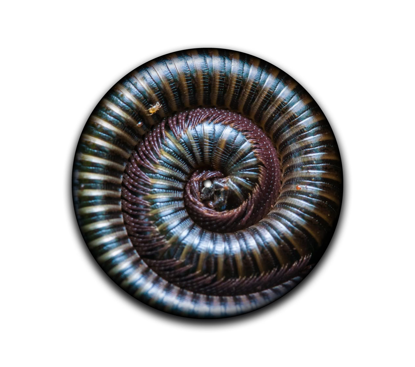 Millipede Slipmat – 12″ Turntable Mat for Vinyl Collectors by Neesh Labs

